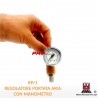 Air flow regulator with pressure gauge: Ani RP/1