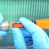 Walcom Air blower Pro For Water Based Paints