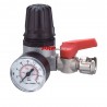 Pressure Regulator With Round Pressure Gauge Ani 31/A4 - Air 11